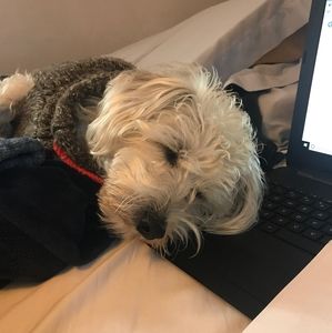 Meet your Posher, Bryan